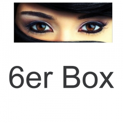 Options Evolve toric - 6er oder 3er Box